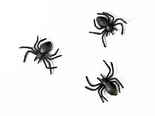 Dekorace pavoučci
