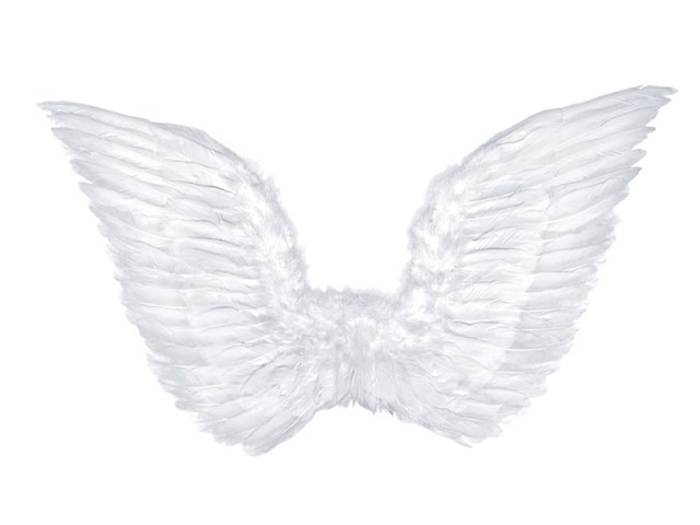 Andělská křídla, péřová, bílá, rozměr 75x45cm (zn. PartyDeco)