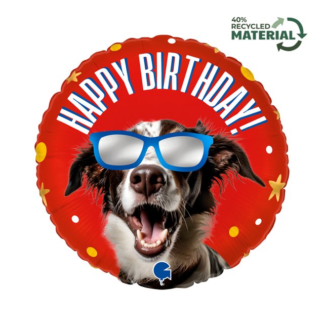 Fóliový balónek kruh COOL PES - Happy birthday / všechno nejlepší se zrcadlovými brýlemi, velikost 46cm (zn. GRABO)