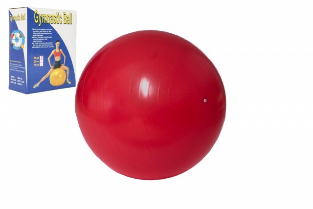 Gymnastický MÍČ, velikost 55cm, rehabilitační