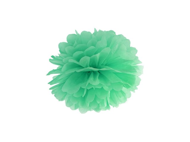 Pompom, mintová, 25 cm (zn. PartyDeco)