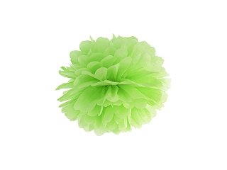 Pompom, světle zelená, 25 cm (zn. PartyDeco)