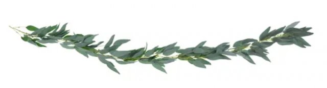 Girlanda Willow listy / vrbové listí, 2m