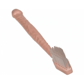 Kartáček penis