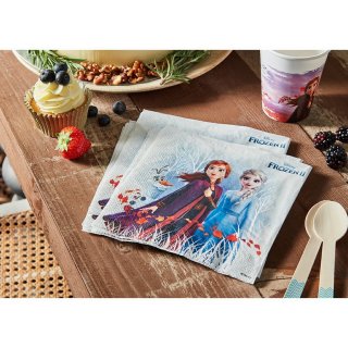 Závěsný papírový banner Elza FROZEN / Ledové Království - Happy Birthday, délka 230cm (zn. Procos)
