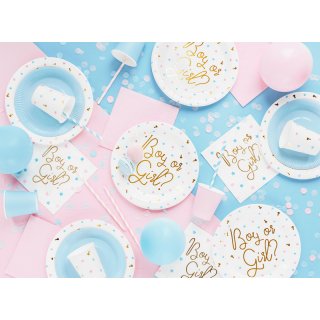 Papírové talířky Gender Reveal - Kluk nebo Holka / Boy or Girl, velikost 23cm, set 6ks (zn. PartyDeco)