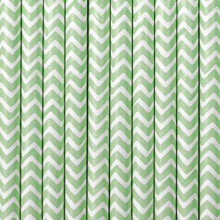 Papírová brčka, mátové, délka 19.5cm, set 10ks (zn. PartyDeco)