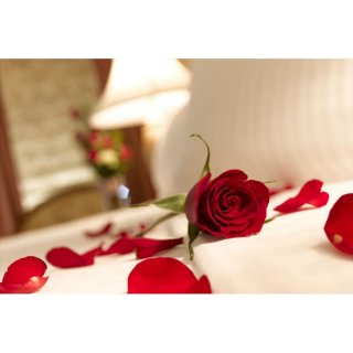 Postel plná růží, lístečky, set 150ks