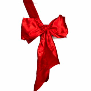 SEXY dárková mašle na ženské tělo