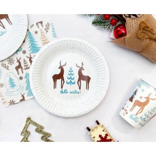 Vánoční ubrousky Hello Winter, bílé, rozměr 33x33cm, set 20ks (zn. Godan)