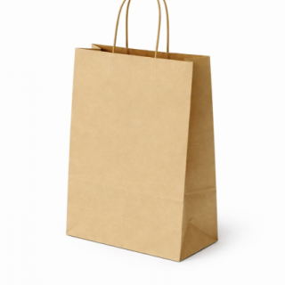 Papírová taška PASTELO - velikost L, 22x10x29cm, barva béžová HAVANA