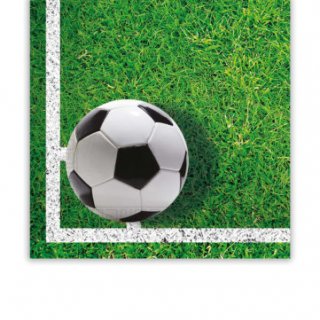 Papírové ubrousky FOTBAL - lajna, rozměr 33×33cm - set 20ks (zn. Procos)