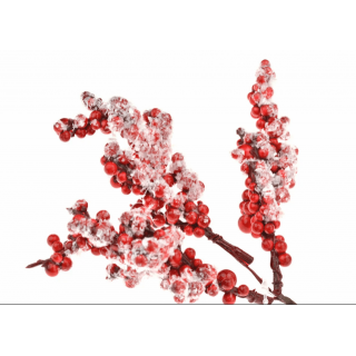 Umělé bobule k aranžování - červené, zasněžené, velikost 17cm (zn. FLORA)