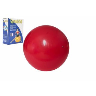 Gymnastický MÍČ, velikost 55cm, rehabilitační
