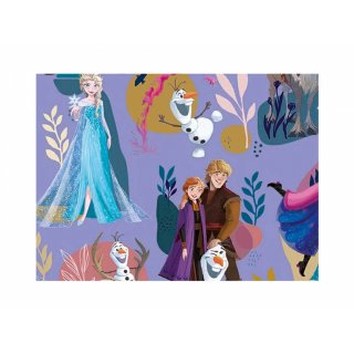 Balicí papír vánoční Disney, role 200x70cm
