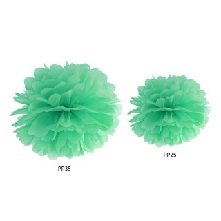Pompom, mintová, 25 cm (zn. PartyDeco)