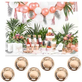 Papírové talířky, rosegold barva, 18cm, set 6ks (zn. PartyDeco)