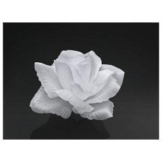 Bílé růžičky - lepící 9cm, 24ks