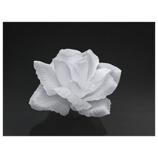 Svatební bílé růžičky - lepící 9cm, 24ks (zn. PartyDeco)