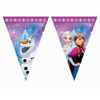 Závěsný banner "Frozen", vlajky